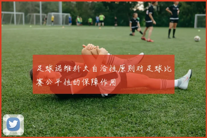 足球诺维科夫自洽性原则对足球比赛公平性的保障作用