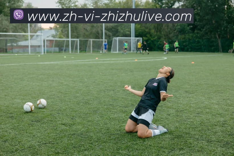 多媒体互动体验