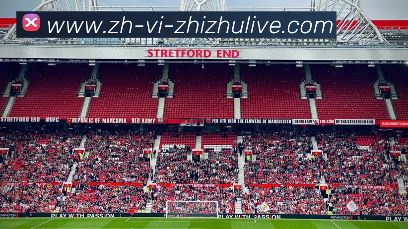 蜘蛛直播APP 体育赛事宣传图